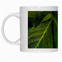 Green Plant Leaf Foliage Nature White Mugs by Nexatart