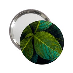 Green Plant Leaf Foliage Nature 2 25  Handbag Mirrors by Nexatart