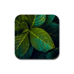 Green Plant Leaf Foliage Nature Rubber Coaster (square)  by Nexatart