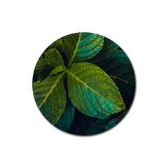 Green Plant Leaf Foliage Nature Rubber Round Coaster (4 Pack)  by Nexatart