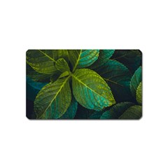 Green Plant Leaf Foliage Nature Magnet (name Card) by Nexatart