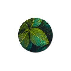 Green Plant Leaf Foliage Nature Golf Ball Marker (4 Pack) by Nexatart