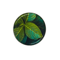 Green Plant Leaf Foliage Nature Hat Clip Ball Marker (4 Pack) by Nexatart