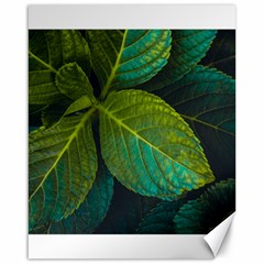 Green Plant Leaf Foliage Nature Canvas 16  X 20   by Nexatart