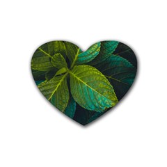 Green Plant Leaf Foliage Nature Rubber Coaster (heart)  by Nexatart