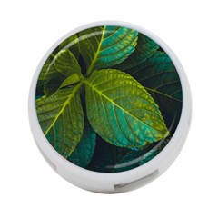 Green Plant Leaf Foliage Nature 4-port Usb Hub (two Sides)  by Nexatart