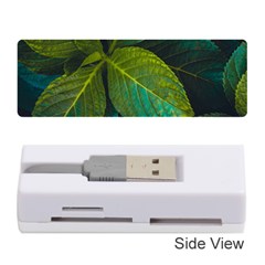 Green Plant Leaf Foliage Nature Memory Card Reader (stick)  by Nexatart