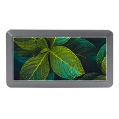 Green Plant Leaf Foliage Nature Memory Card Reader (mini) by Nexatart