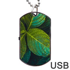 Green Plant Leaf Foliage Nature Dog Tag Usb Flash (one Side) by Nexatart