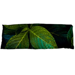 Green Plant Leaf Foliage Nature Body Pillow Case (dakimakura) by Nexatart