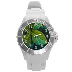 Green Plant Leaf Foliage Nature Round Plastic Sport Watch (l) by Nexatart