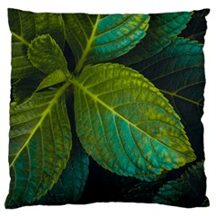 Green Plant Leaf Foliage Nature Large Cushion Case (one Side) by Nexatart