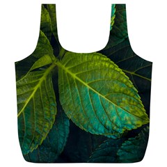 Green Plant Leaf Foliage Nature Full Print Recycle Bags (l)  by Nexatart