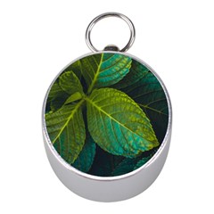 Green Plant Leaf Foliage Nature Mini Silver Compasses