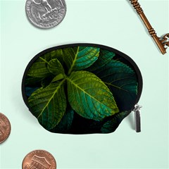 Green Plant Leaf Foliage Nature Accessory Pouches (small)  by Nexatart