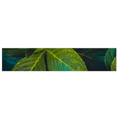 Green Plant Leaf Foliage Nature Small Flano Scarf by Nexatart