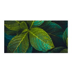 Green Plant Leaf Foliage Nature Satin Wrap by Nexatart