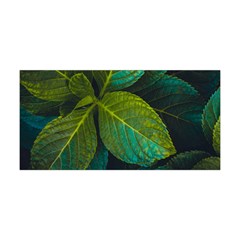 Green Plant Leaf Foliage Nature Yoga Headband by Nexatart