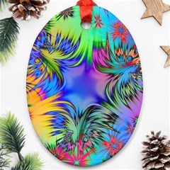 Star Abstract Colorful Fireworks Oval Ornament (two Sides)