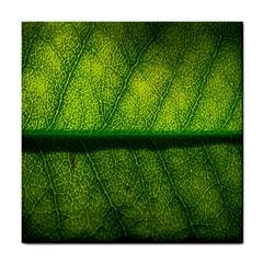 Leaf Nature Green The Leaves Tile Coasters by Nexatart