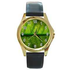 Leaf Nature Green The Leaves Round Gold Metal Watch by Nexatart