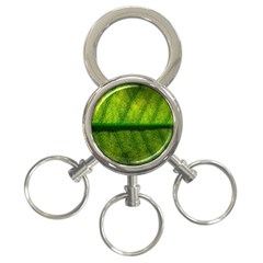 Leaf Nature Green The Leaves 3-ring Key Chains by Nexatart