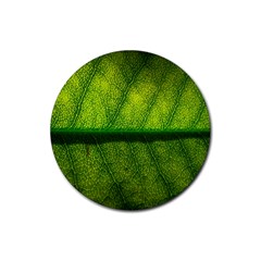 Leaf Nature Green The Leaves Rubber Coaster (round)  by Nexatart