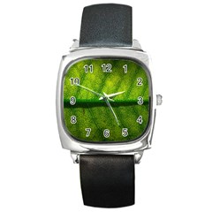 Leaf Nature Green The Leaves Square Metal Watch by Nexatart