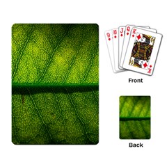 Leaf Nature Green The Leaves Playing Card by Nexatart