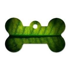 Leaf Nature Green The Leaves Dog Tag Bone (one Side) by Nexatart