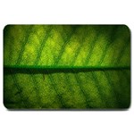 Leaf Nature Green The Leaves Large Doormat  30 x20  Door Mat