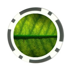 Leaf Nature Green The Leaves Poker Chip Card Guard by Nexatart