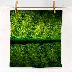 Leaf Nature Green The Leaves Face Towel by Nexatart