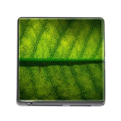 Leaf Nature Green The Leaves Memory Card Reader (square) by Nexatart