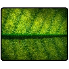 Leaf Nature Green The Leaves Fleece Blanket (medium)  by Nexatart