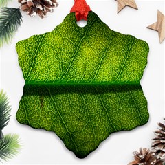 Leaf Nature Green The Leaves Ornament (snowflake) by Nexatart