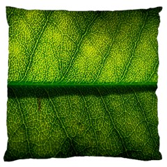 Leaf Nature Green The Leaves Large Cushion Case (one Side) by Nexatart