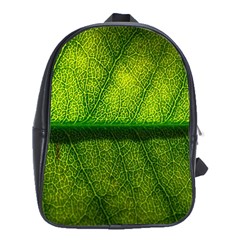 Leaf Nature Green The Leaves School Bag (xl) by Nexatart