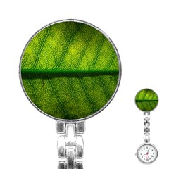 Leaf Nature Green The Leaves Stainless Steel Nurses Watch