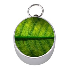 Leaf Nature Green The Leaves Mini Silver Compasses