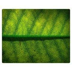 Leaf Nature Green The Leaves Double Sided Flano Blanket (medium)  by Nexatart