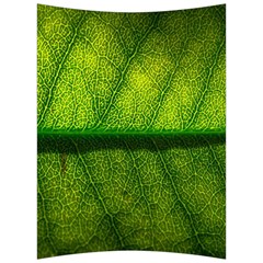 Leaf Nature Green The Leaves Back Support Cushion by Nexatart