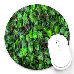 The Leaves Plants Hwalyeob Nature Round Mousepads by Nexatart