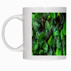 The Leaves Plants Hwalyeob Nature White Mugs by Nexatart