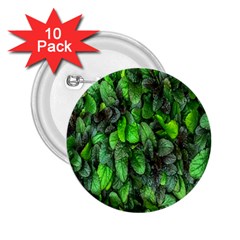 The Leaves Plants Hwalyeob Nature 2 25  Buttons (10 Pack) 