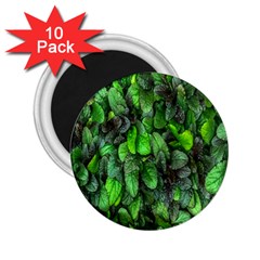 The Leaves Plants Hwalyeob Nature 2 25  Magnets (10 Pack)  by Nexatart