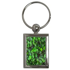 The Leaves Plants Hwalyeob Nature Key Chains (rectangle)  by Nexatart