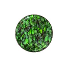 The Leaves Plants Hwalyeob Nature Hat Clip Ball Marker (4 Pack) by Nexatart