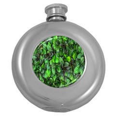 The Leaves Plants Hwalyeob Nature Round Hip Flask (5 Oz) by Nexatart