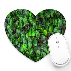 The Leaves Plants Hwalyeob Nature Heart Mousepads by Nexatart